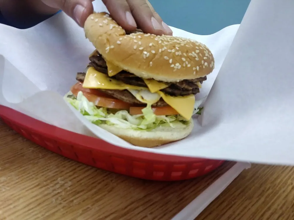 Double Cheeseburger with Fries
